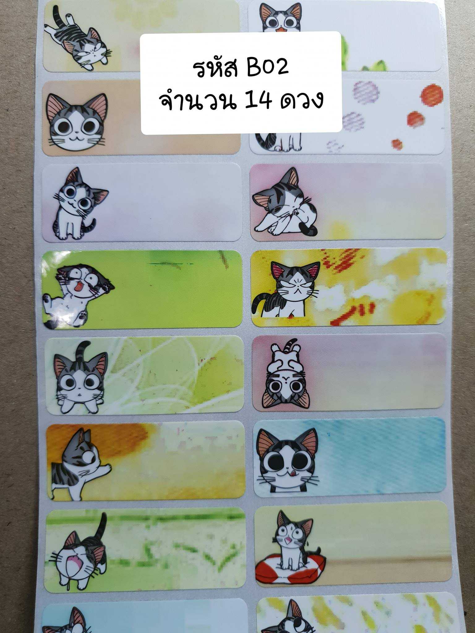 B02  แมวจี้