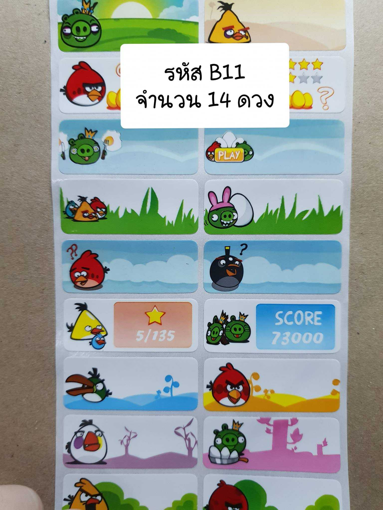 B11  Angry Bird