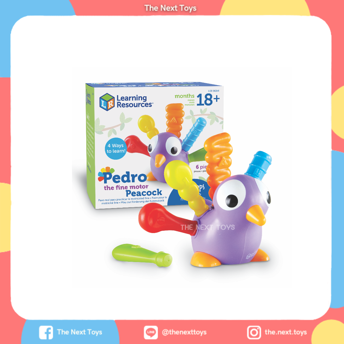 Pedro the Fine Motor Peacock นกยูงฝึกกล้ามเนื้อ