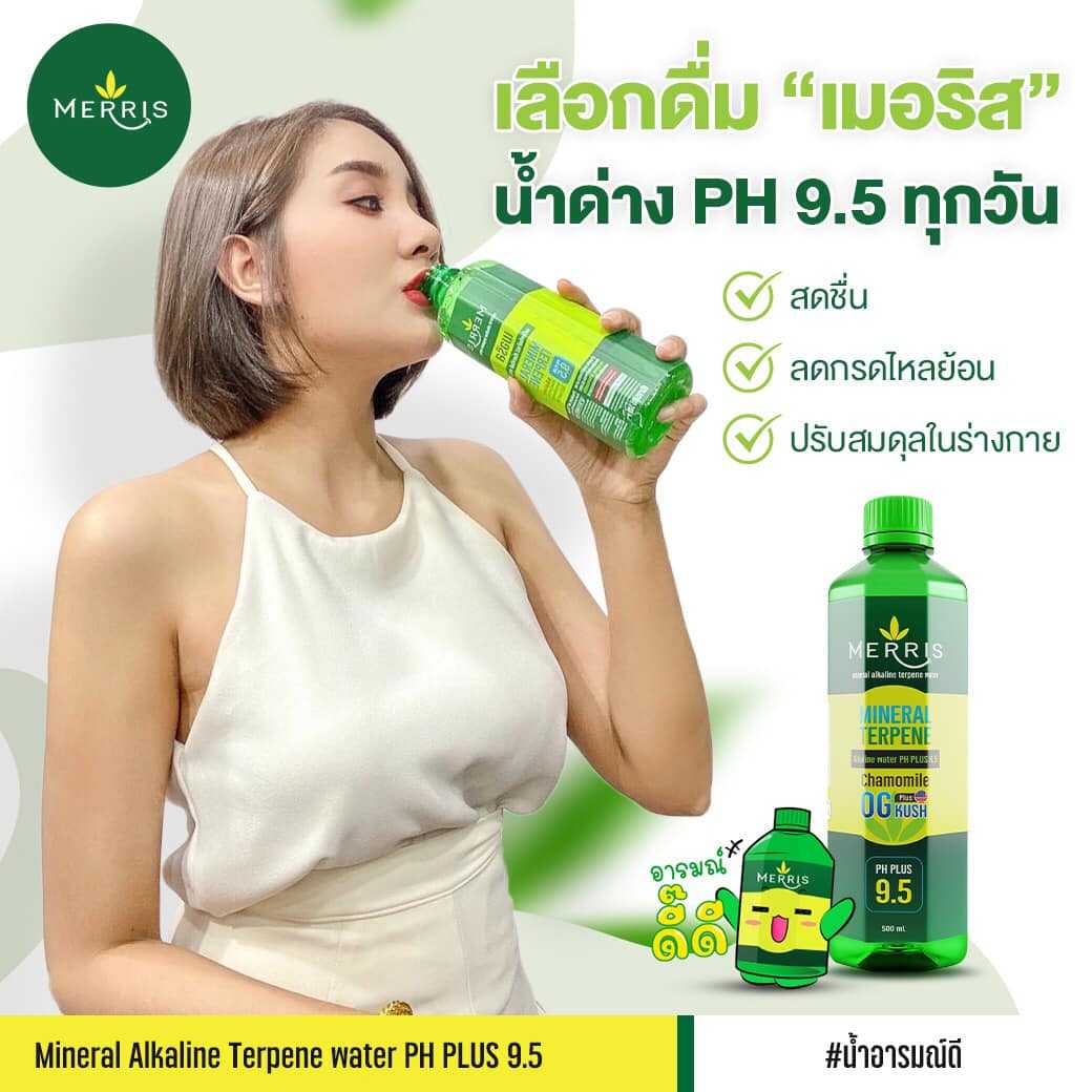 Merris  น้ำแร่ น้ำด่าง น้ำดื่มอัลคาไลน์  9.5 น้ำดื่มอารมณ์ดี เครื่องดื่ม  PH 9.5 จำนวน 24 ขวด
