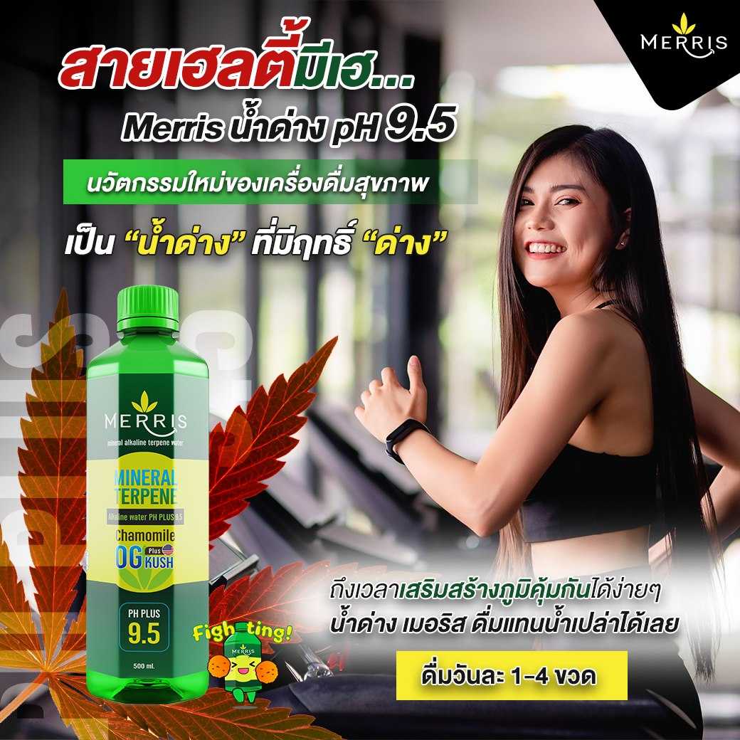 Merris  น้ำแร่ น้ำดื่มอัลคาไลน์  9.5 น้ำดื่มอารมณ์ดี เครื่องดื่ม  PH 9.5  น้ำด่าง จำนวน 6 ขวด