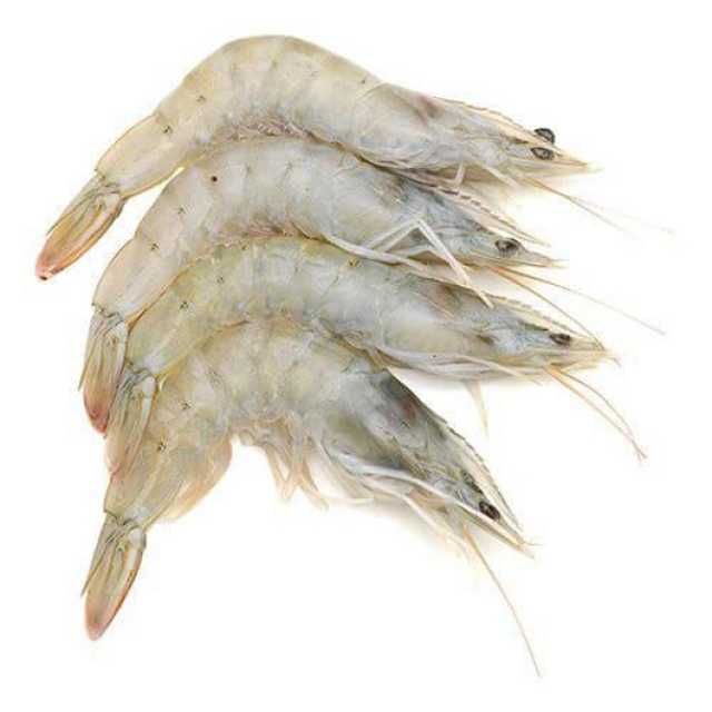 กุ้งขาว (ประมาณ 50 ตัว/กก.) ขีดละ