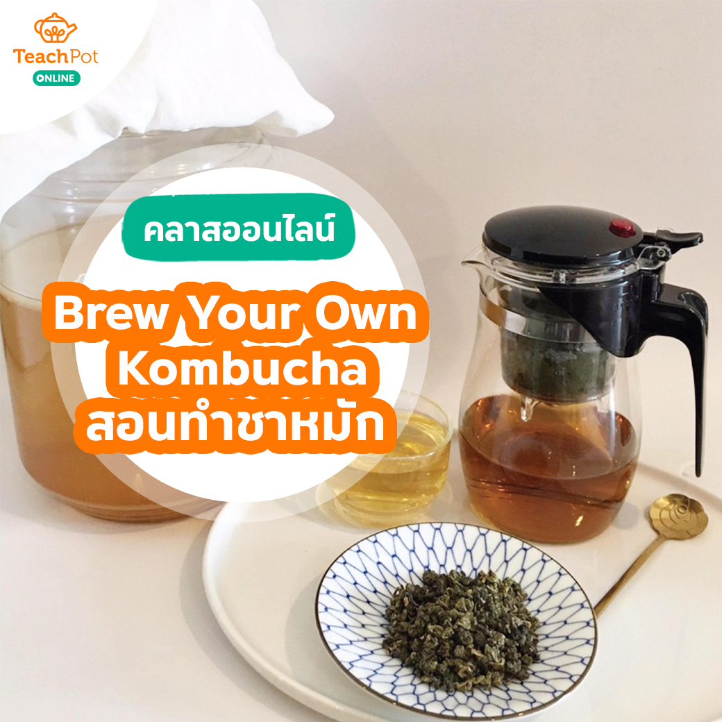 คลาส Brew Your Own Kombucha - สอนทำชาหมัก (คอมบูชา)