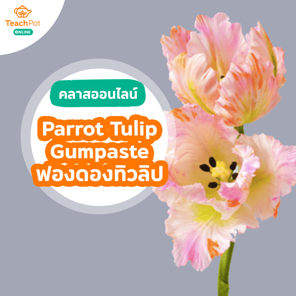 คลาส Parrot Tulip Gumpaste