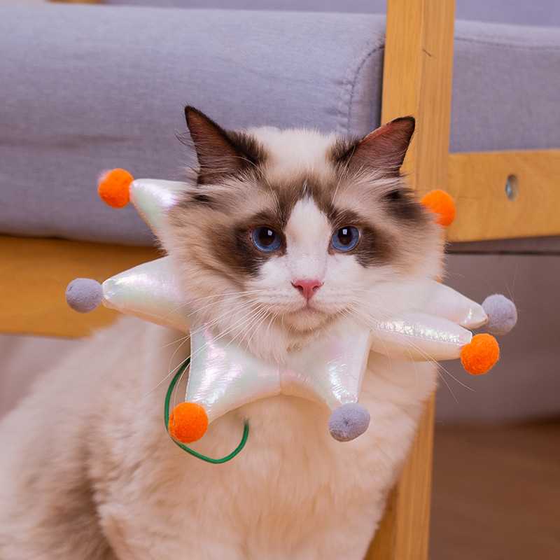 ปลอกคอกันเลีย คอลล่าแมว