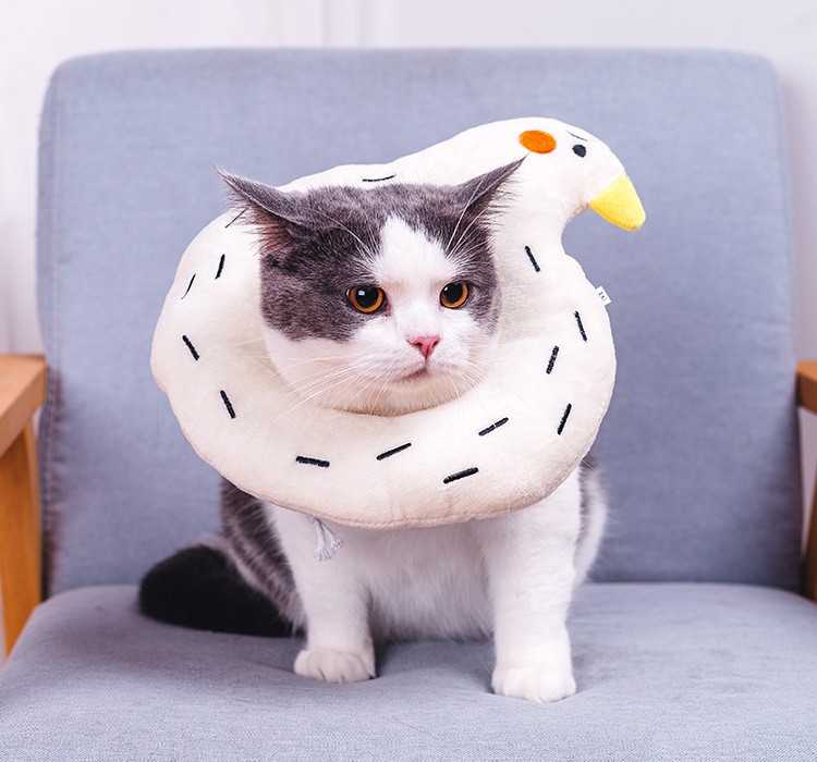 ปลอกคอกกันเลีย คอลล่าแมว รุ่นเป็ด