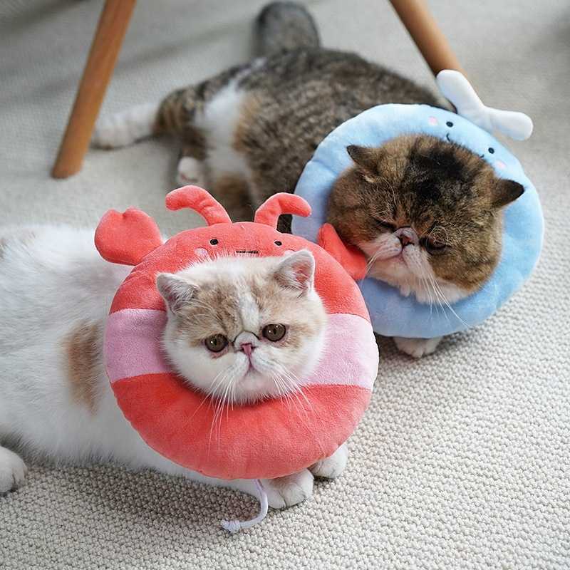 ปลอกคอกันเลีย คอลล่าแมว รุ่นสัตว์