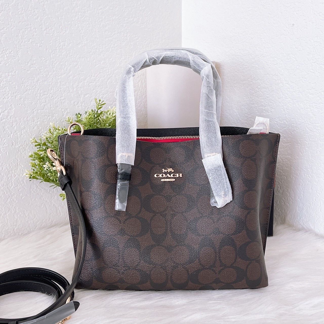 Mollie Tote 25 in Signature Canvas - Brown