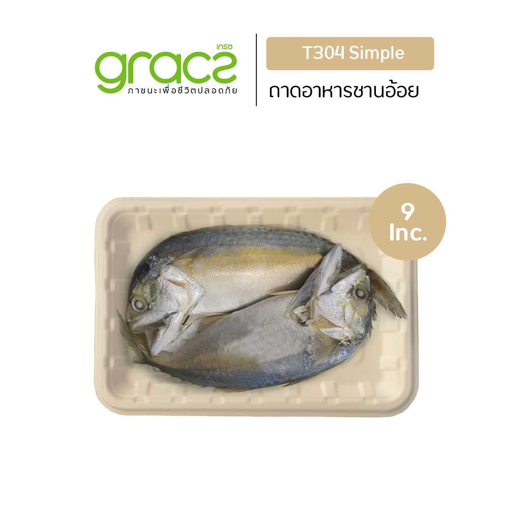 ถาดเยื่อพืช 9 นิ้ว รุ่น T304