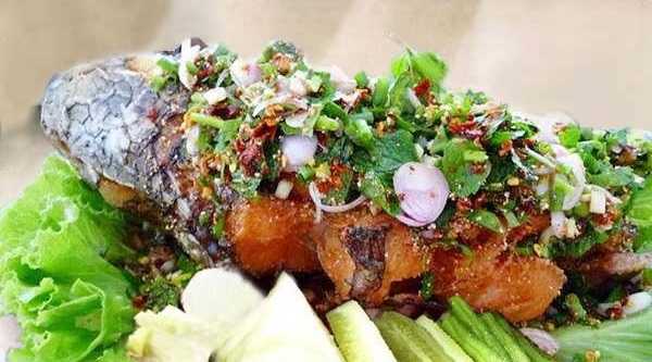 ปลาช่อนน้ำตก