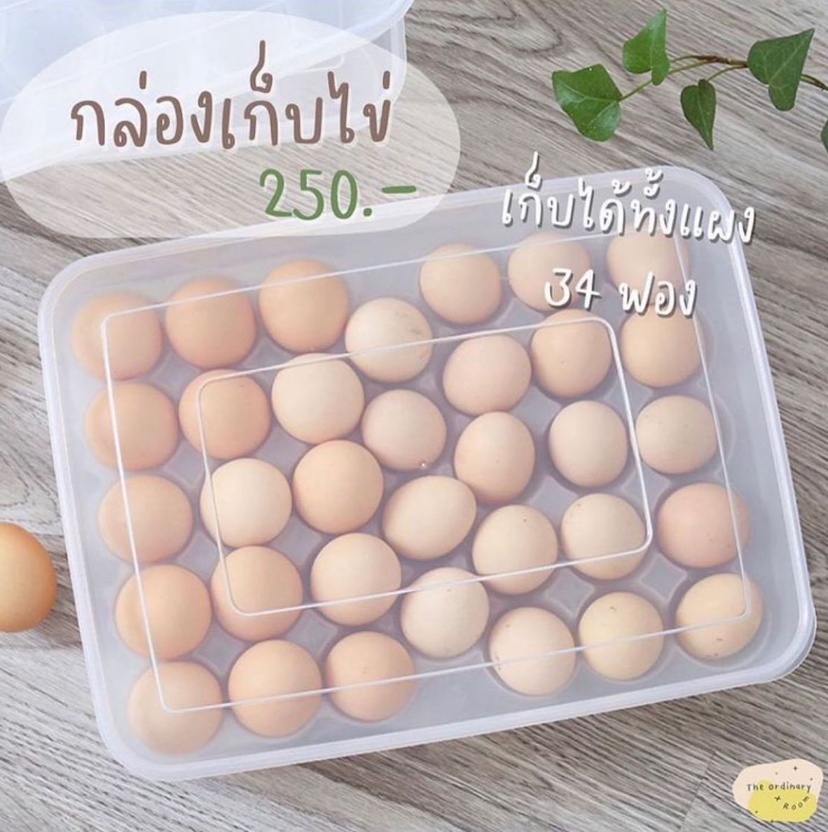 [พรีออเดอร์] กล่องเก็บไข่ไก่ 34 ฟอง