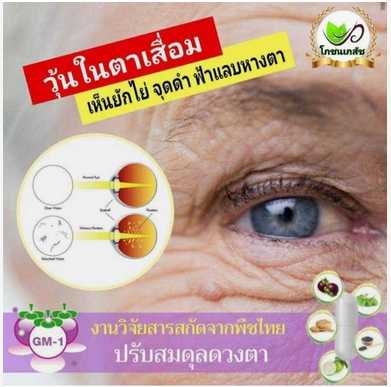 งานวิจัยปรับสมดุลดวงตา สูตร วุ้นตาเสื่อม