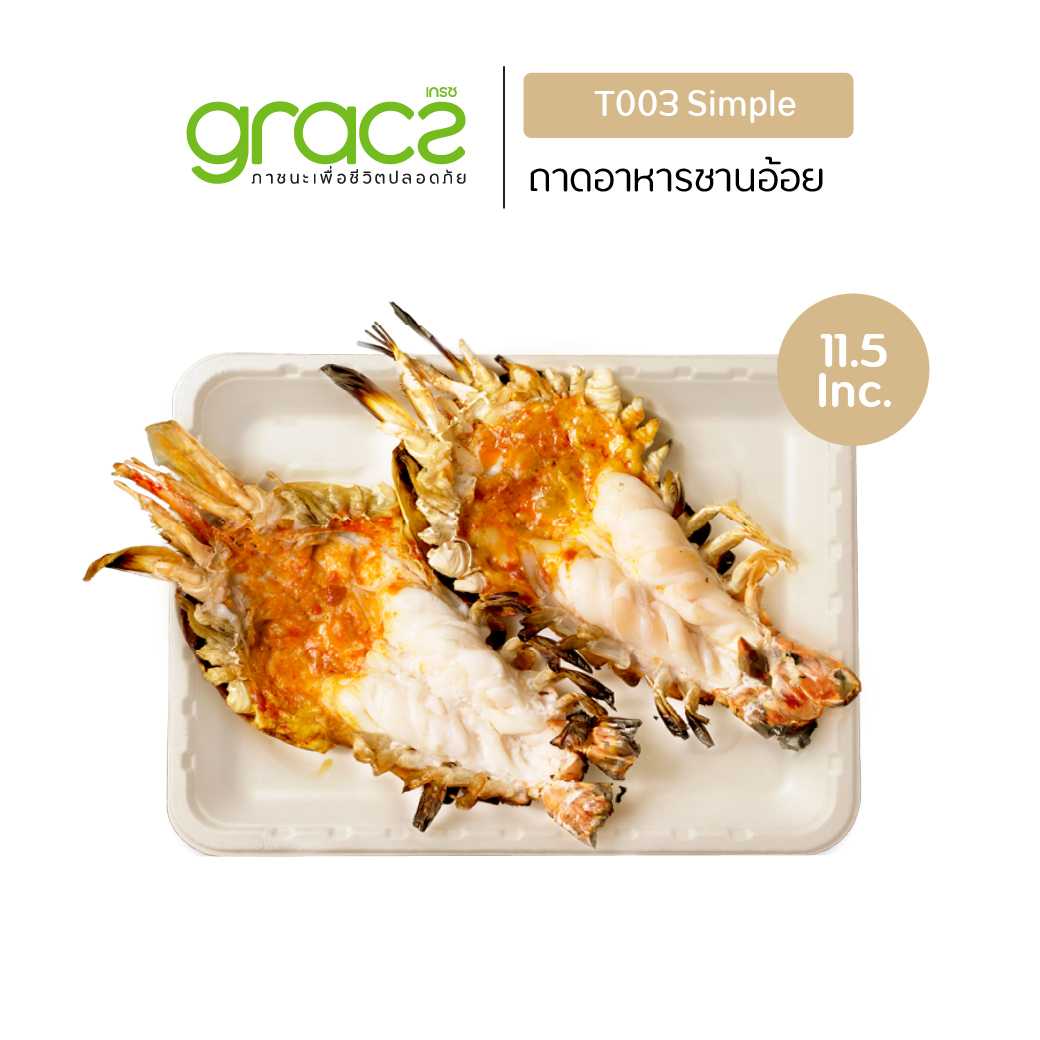 ถาดเยื่อพืช ทรงสี่เหลี่ยม 11.5 นิ้ว. รุ่น T003
