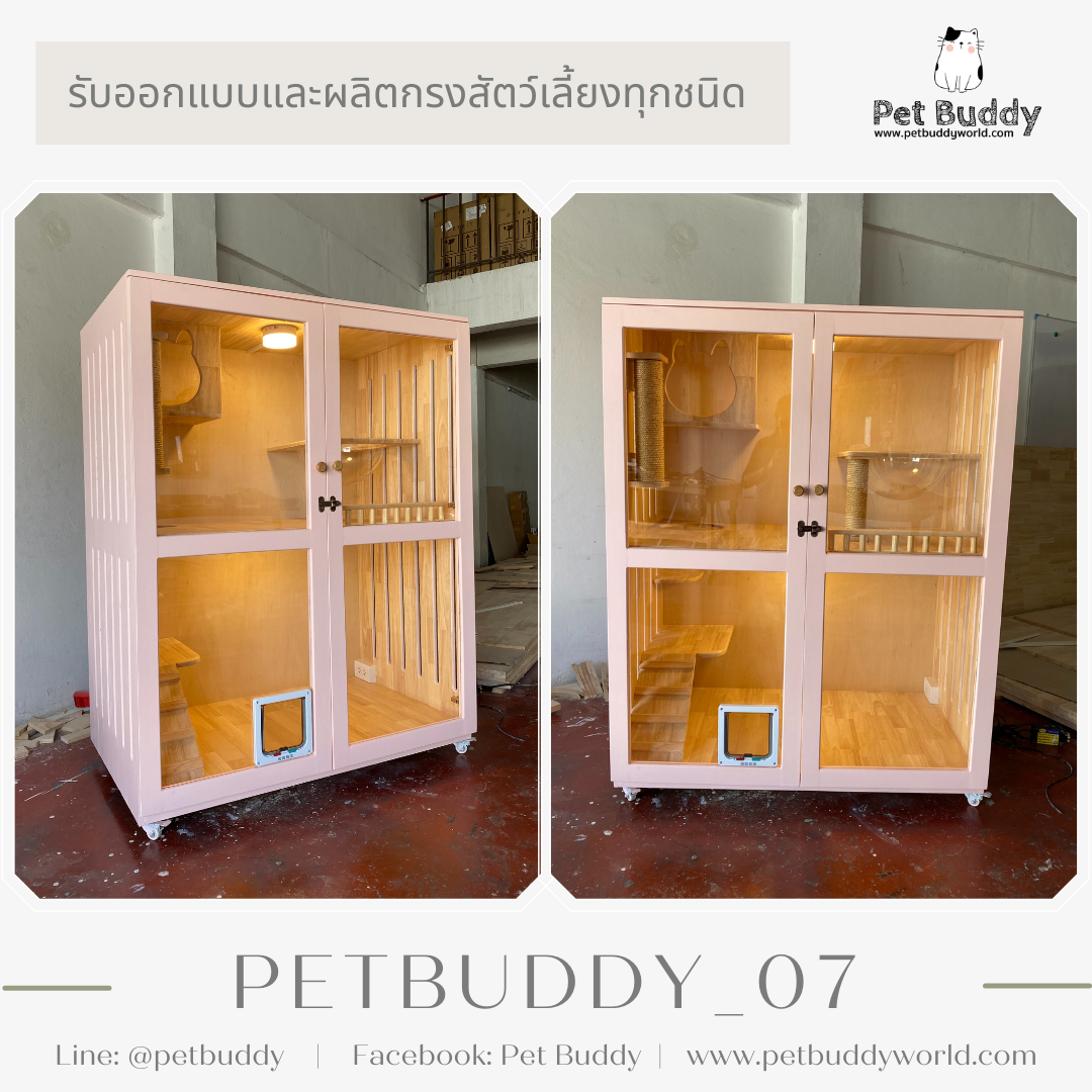 Petbuddy_07 บ้านแมว