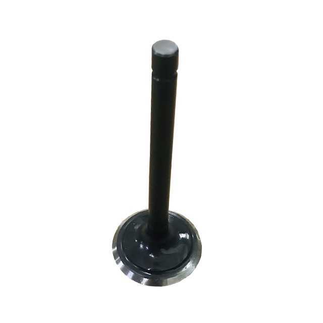 VALVE, INTAKE / SP-07110208 / SP-07110210