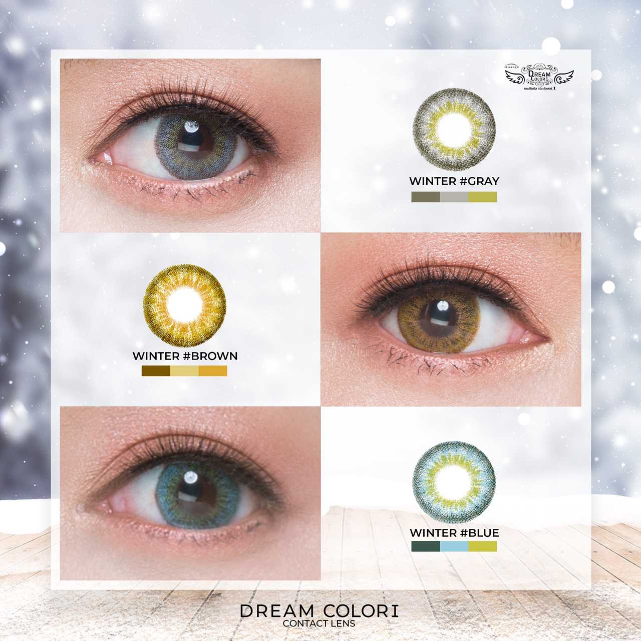 Dreamcolor1 รุ่น Winter รายเดือน