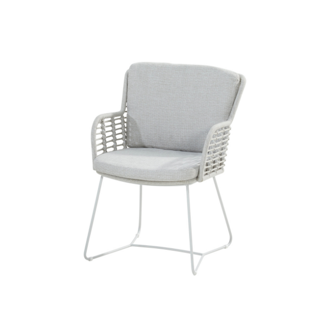 213823 FABRICE Frozen/Frost dining chair