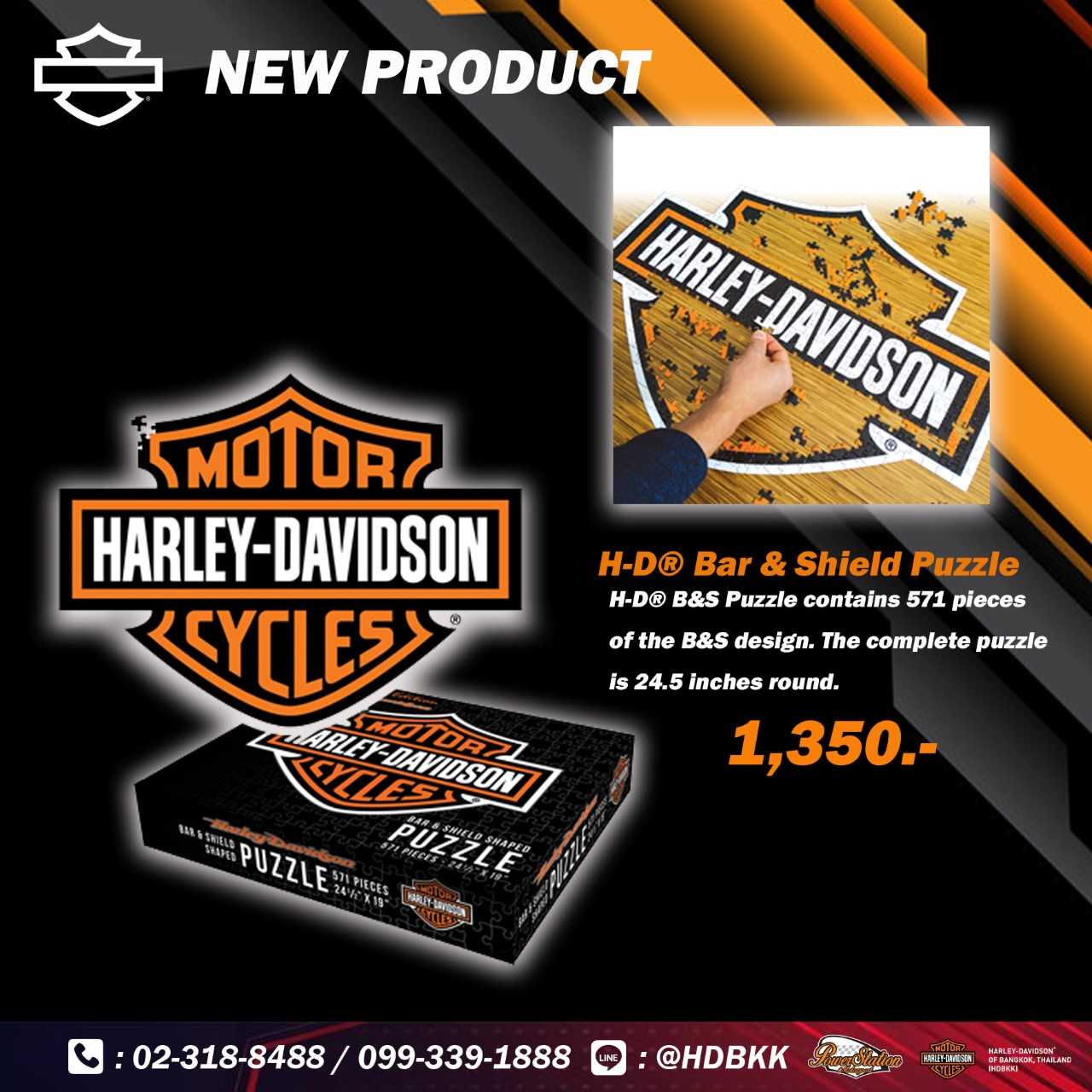 Harley-Davidson B&S puzzle