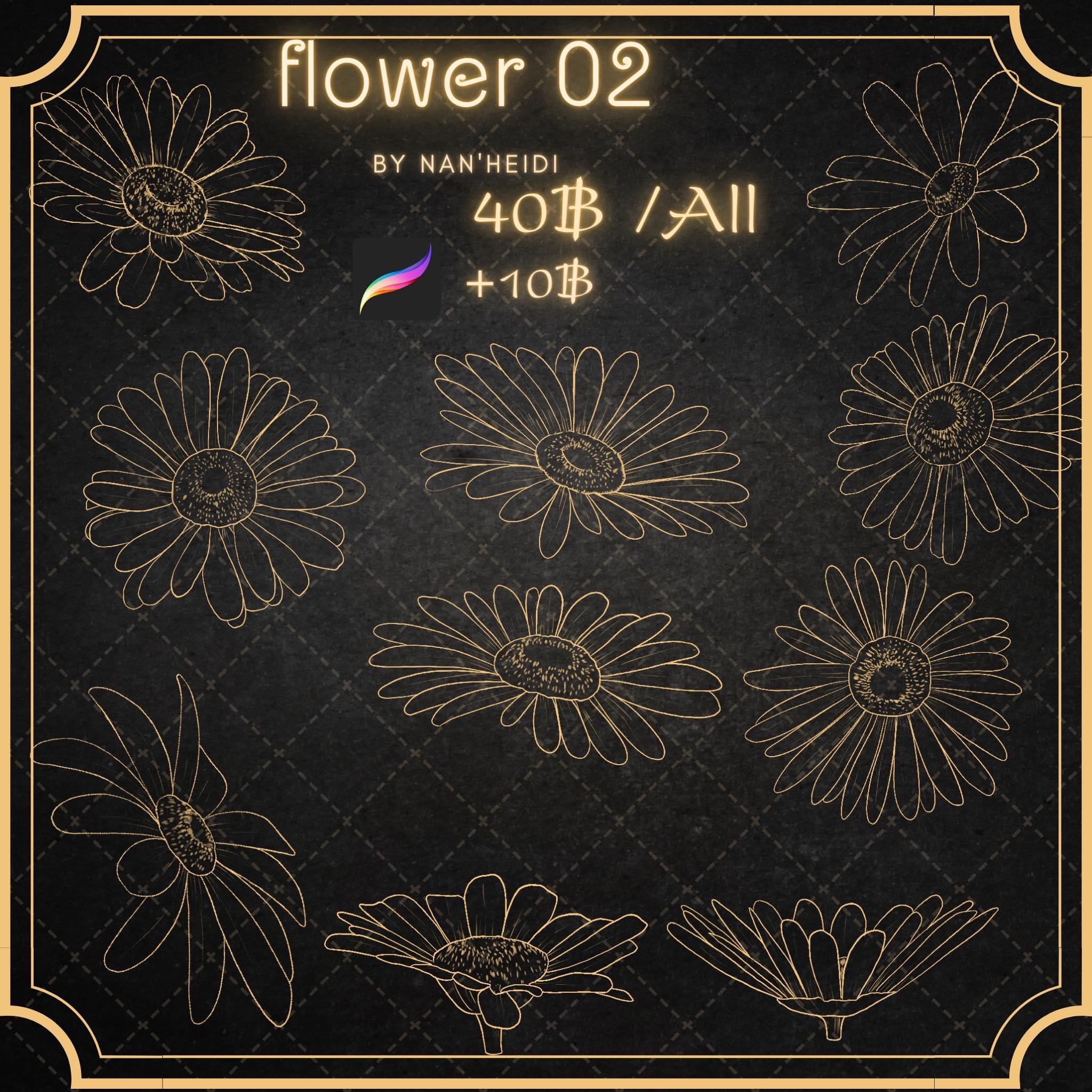 Flower 02 P23