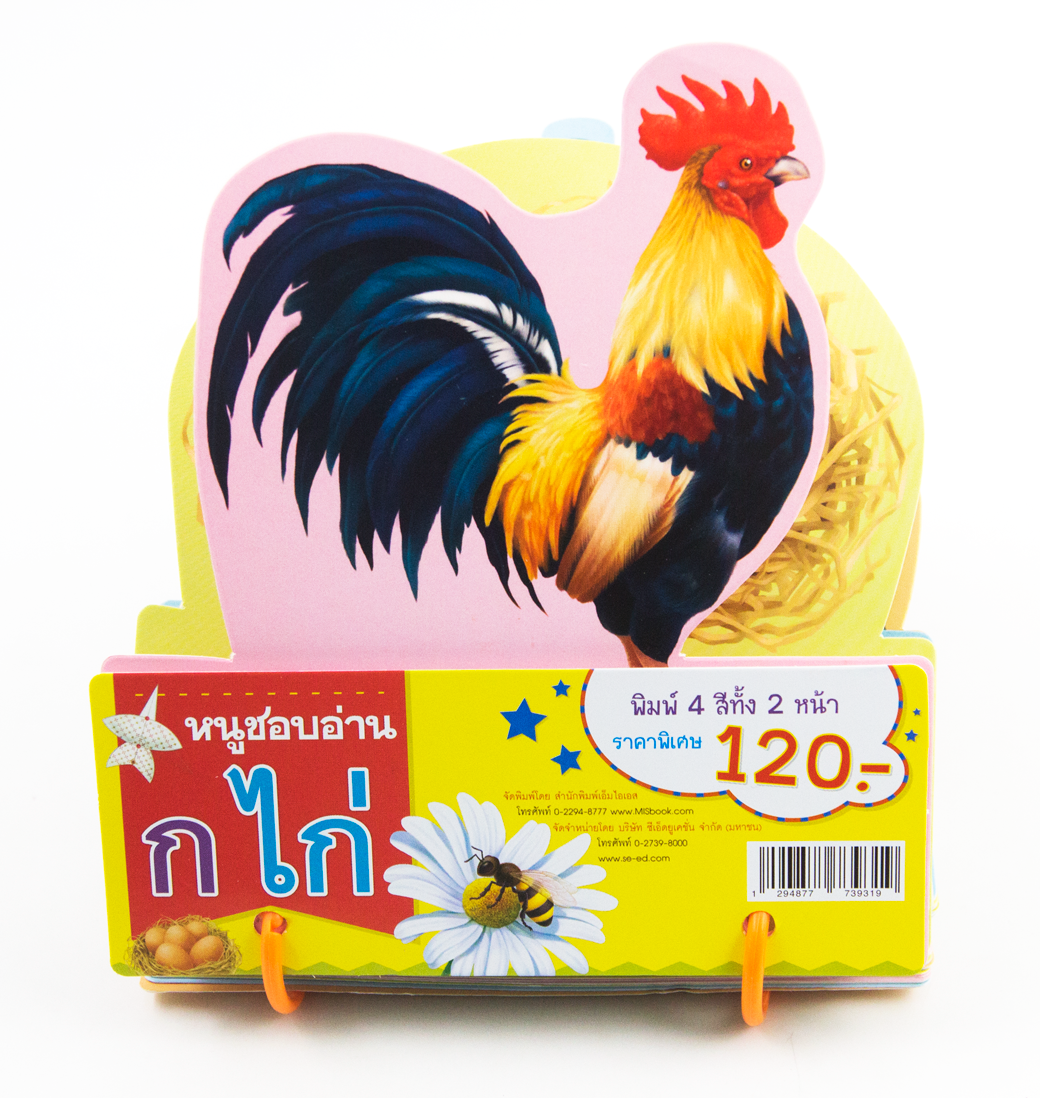 การ์ดหนูชอบอ่าน ก ไก่ (สันห่วง) พร้อมภาพการ์ตูนน่ารัก สีสันสดใส