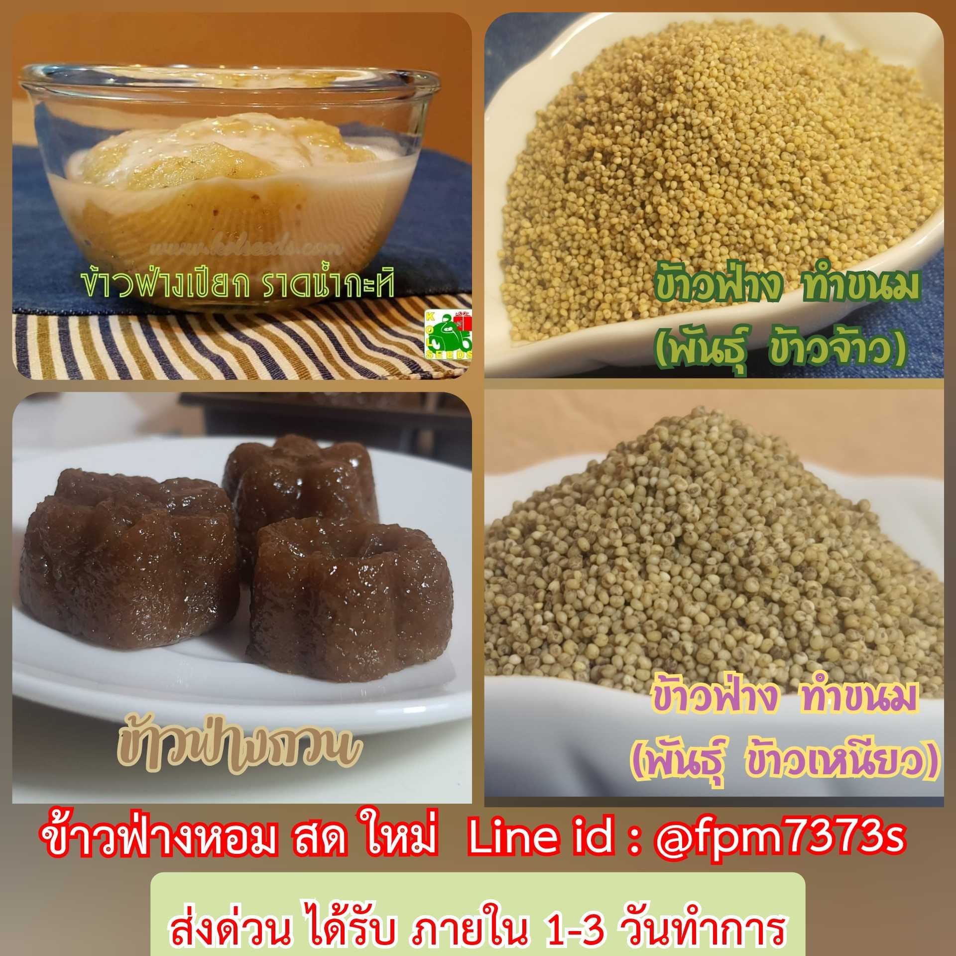 จำหน่ายข้าวฟ่าง สำหรับทำขนมข้าวฟ่างเปียก ข้าวฟ่างกวน หรือ หุงรับประทานแทนข้าว #HF# , #HI#