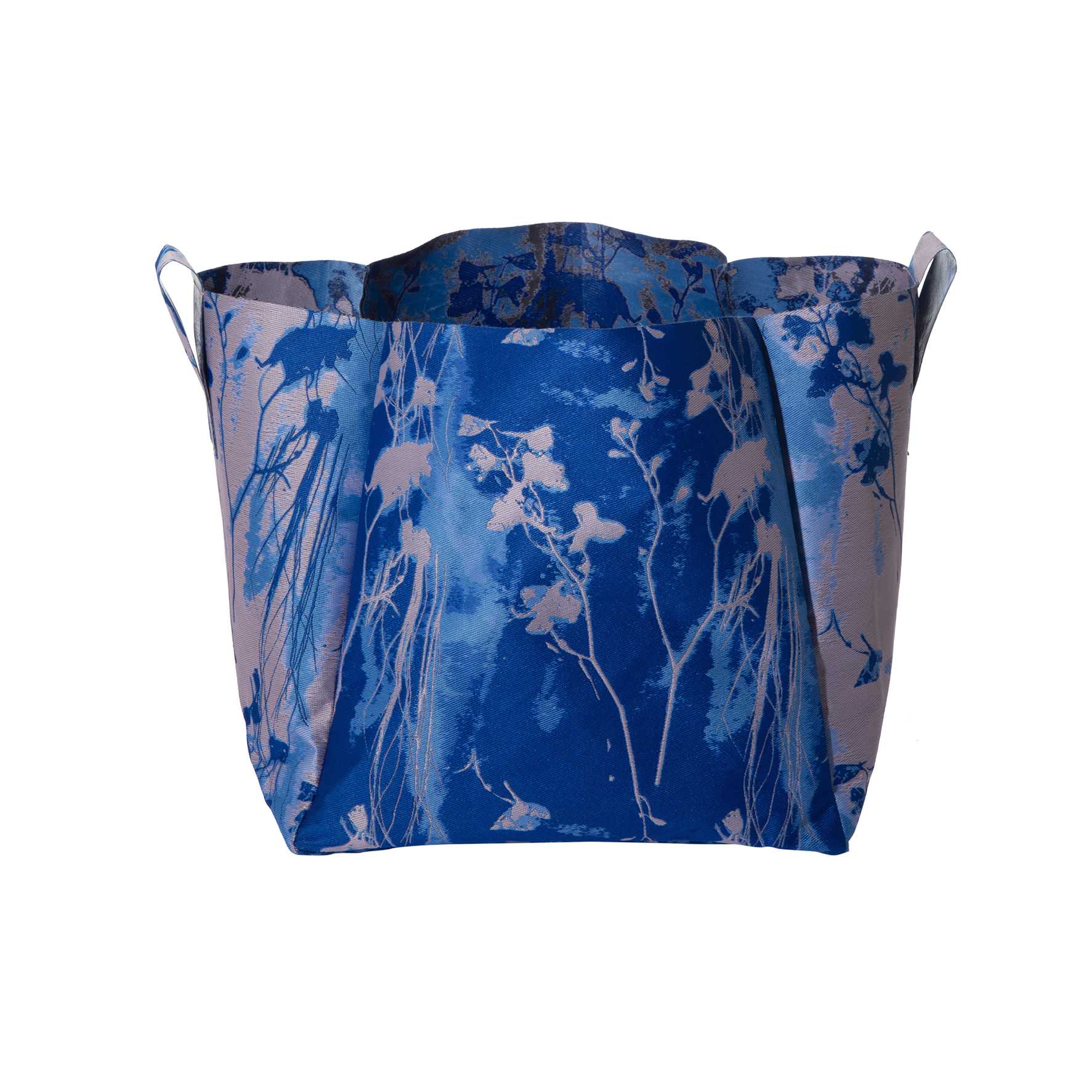 PHKA x OMT - Tree Pot Delphinium - Blue