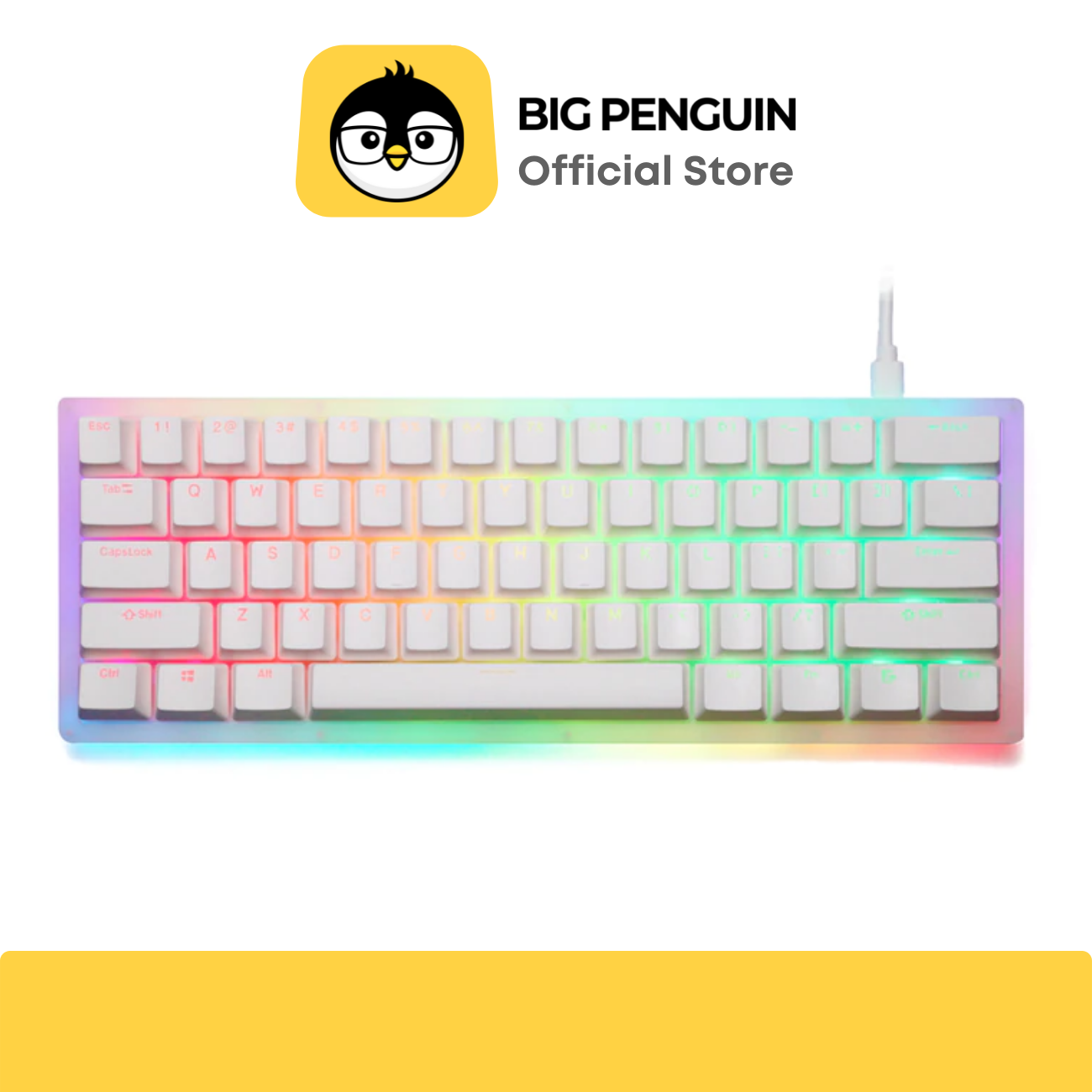Womier K61 RGB