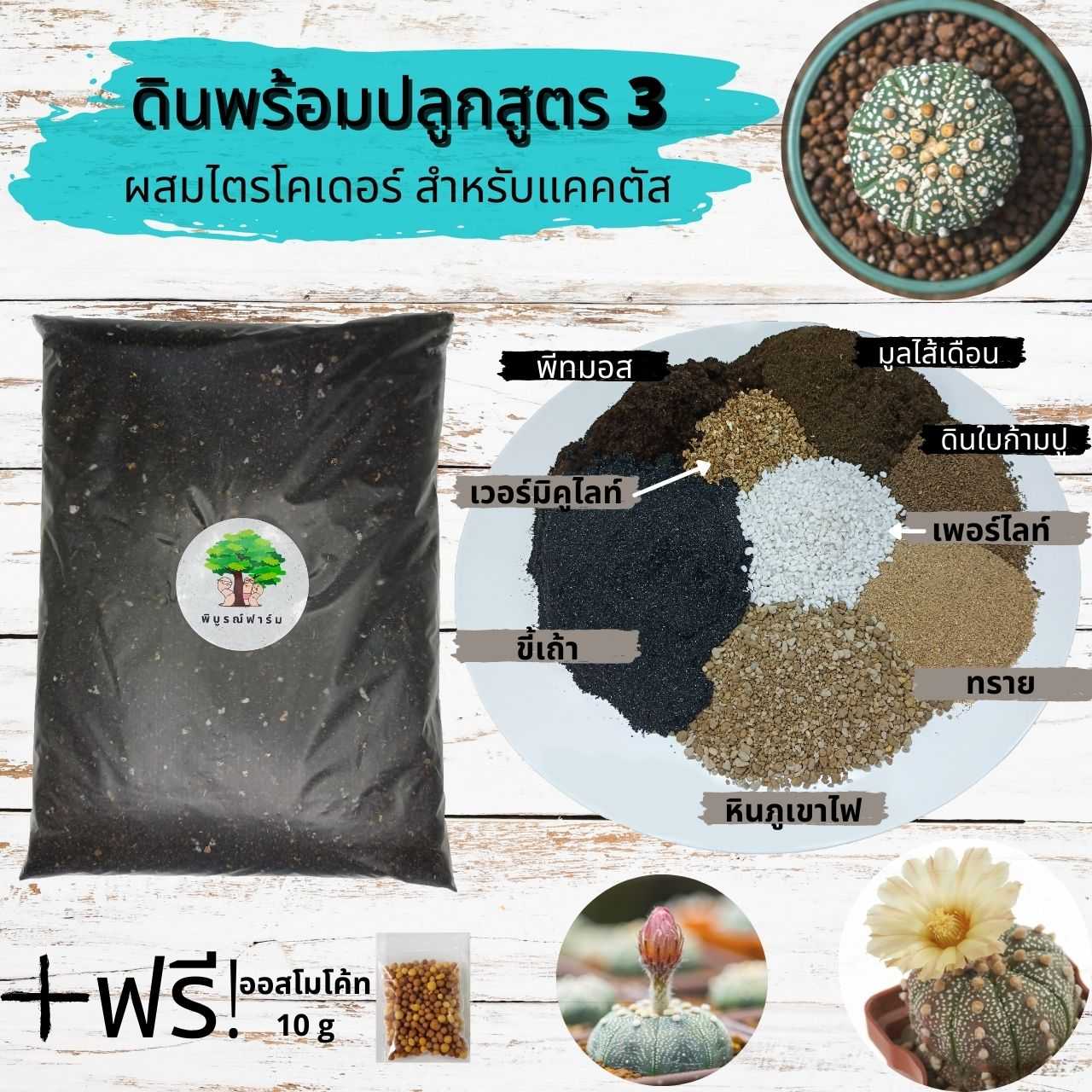 ดินปลูกแคคตัส ดินปลูกกระบองเพชร ดินพร้อมปลูก เร่งดอก ต้นอวบ รากเดินได้ดี