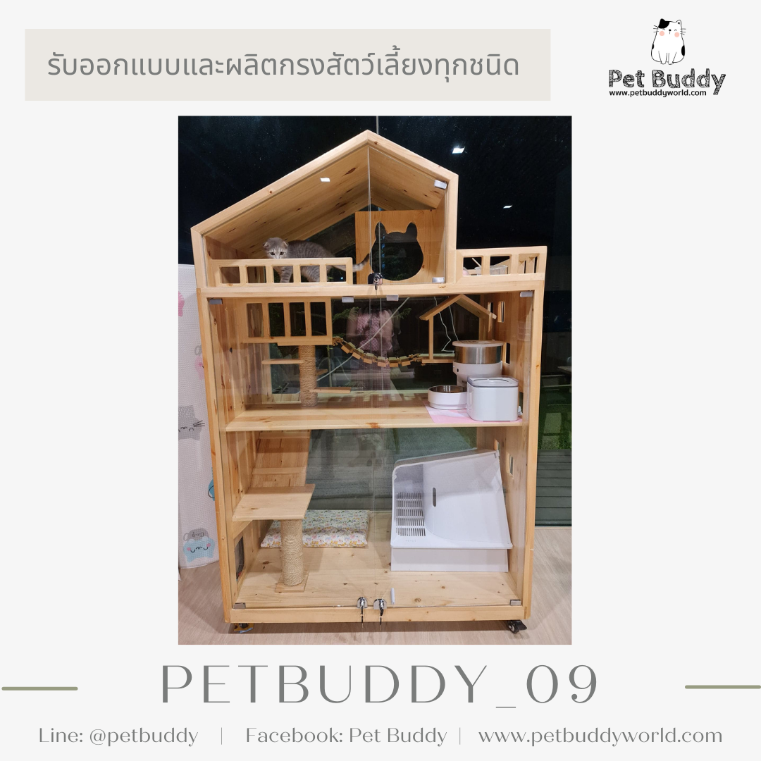 Petbuddy_09 บ้านแมว