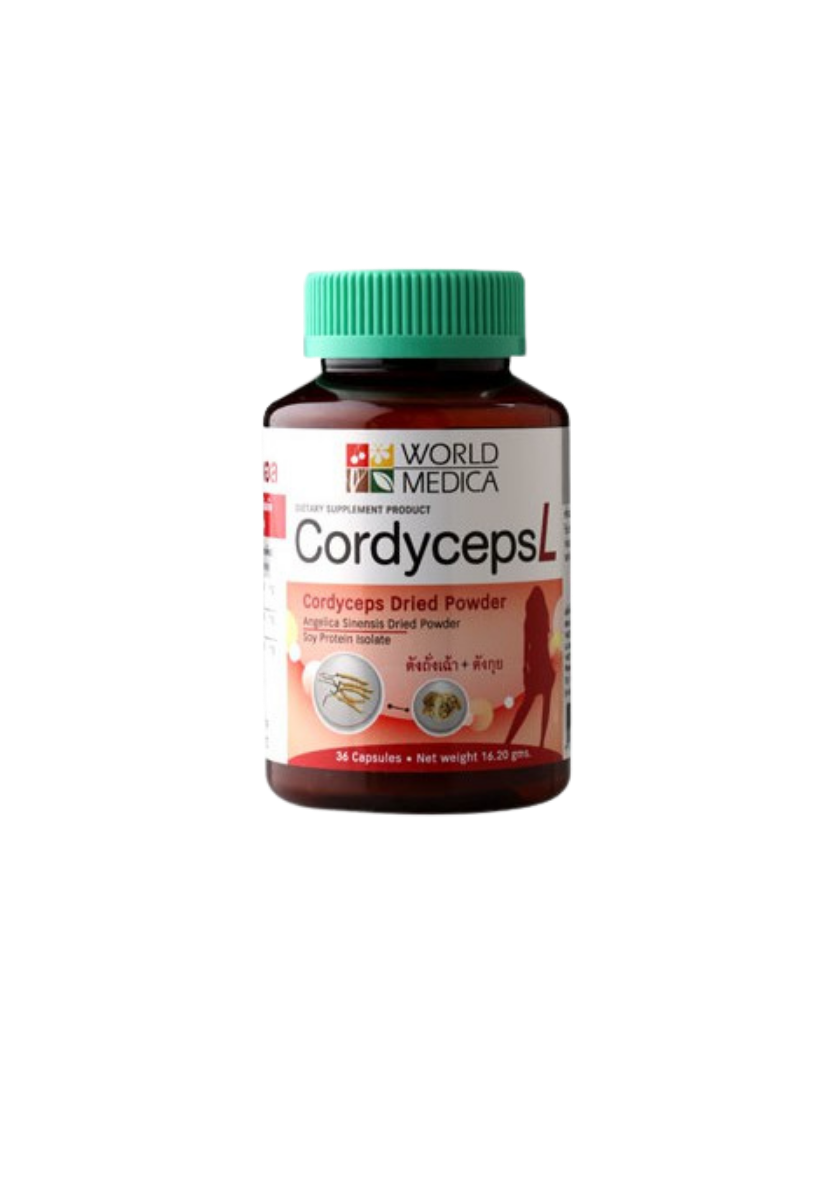 ขาวละออ KLO CORDYCEPS L ตังถั่งเช่า+ตังกุย 36 เม็ด/ขวด