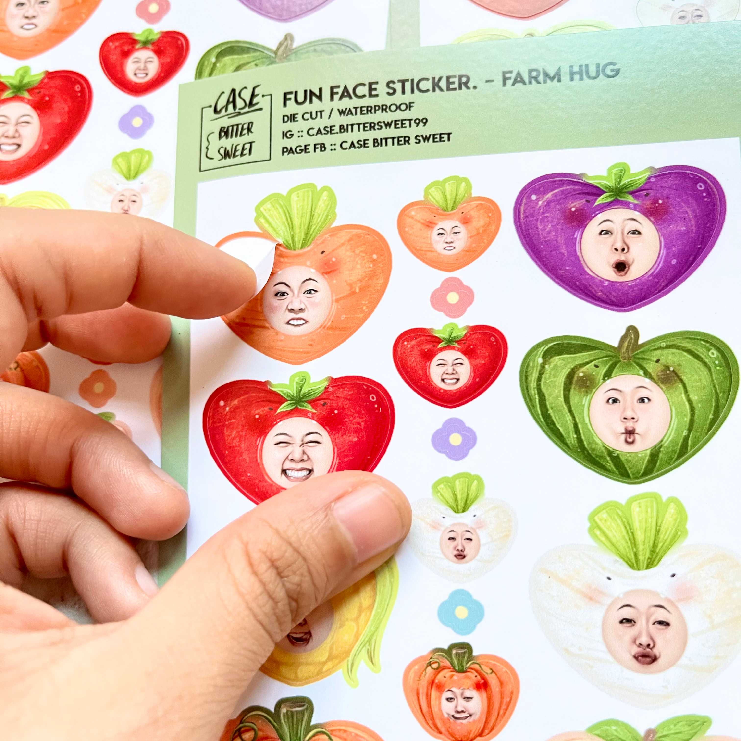 สติ๊กเกอร์ FUNNY FACE STICKER :: FARM HUG