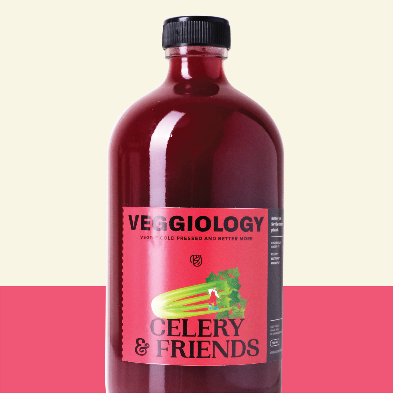 Celery&Friends 6
