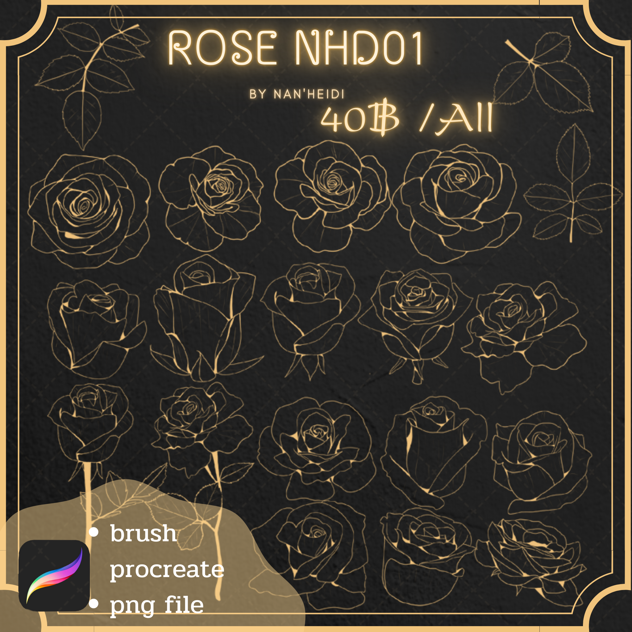 ROSE NHD01 P25