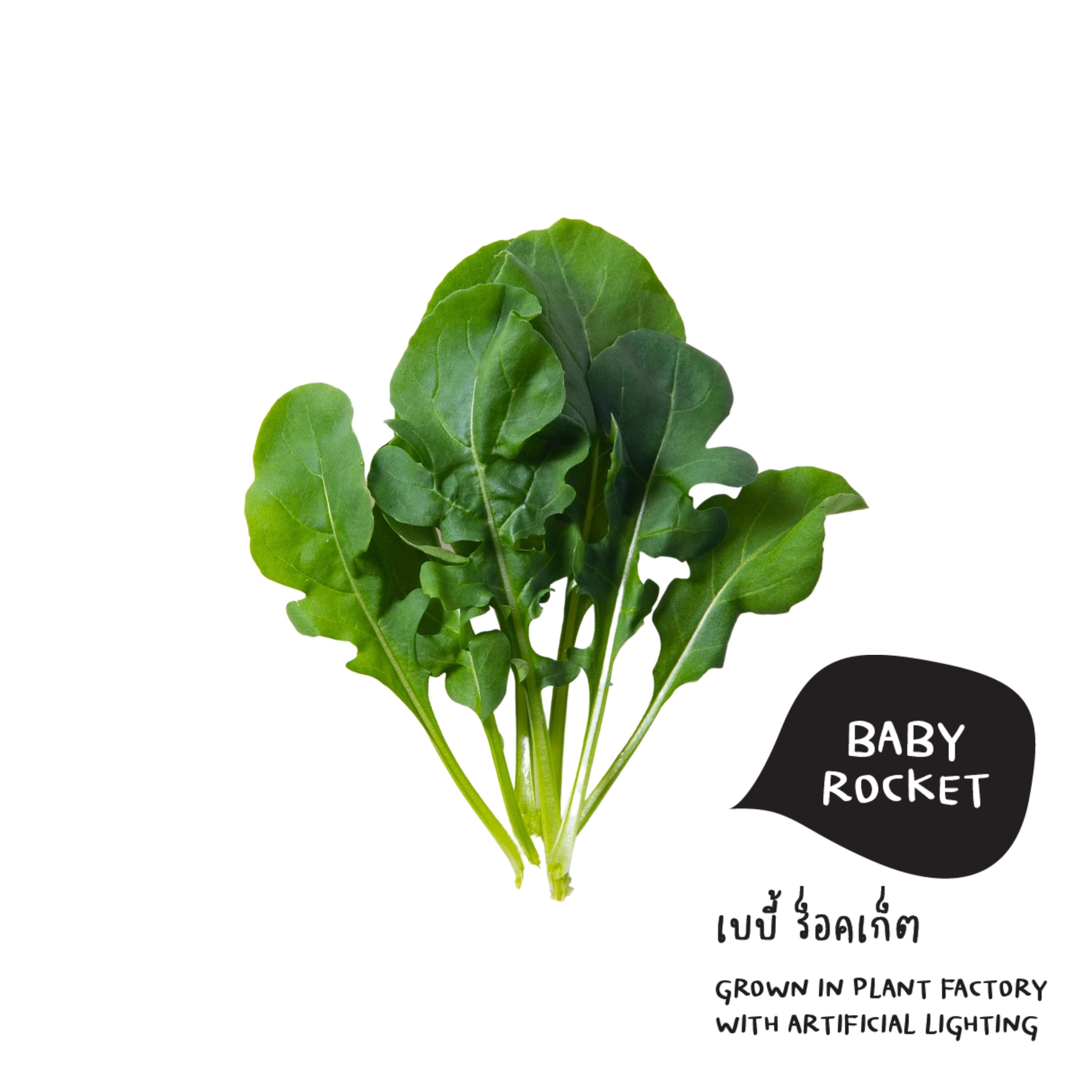 เบบี้ร็อคเก็ต Baby Rocket | ผักสด