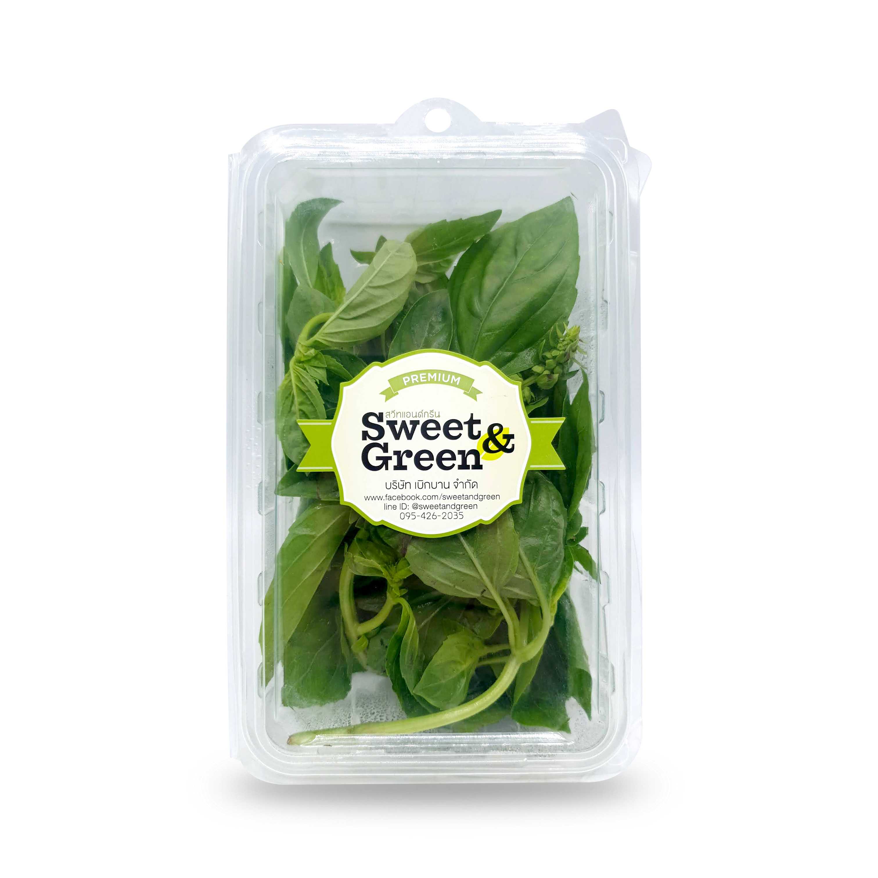 อิตาเลี่ยนเบซิล  (Italian Basil) 30 g.