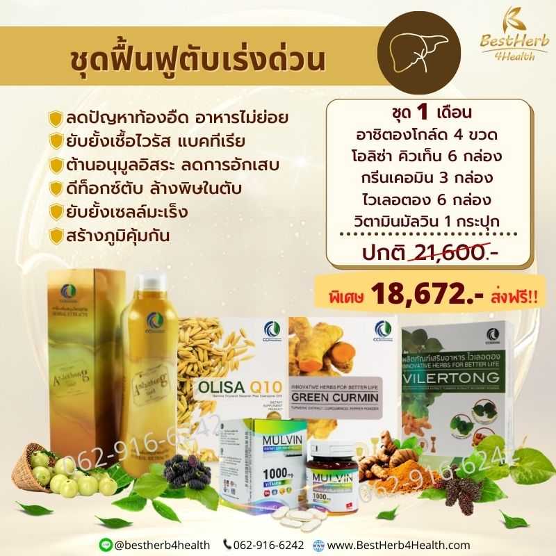 อาชิตองโกล์ด Arshithong Gold ชุดฟื้นฟูตับเร่งด่วน  [Set 1 เดือน]