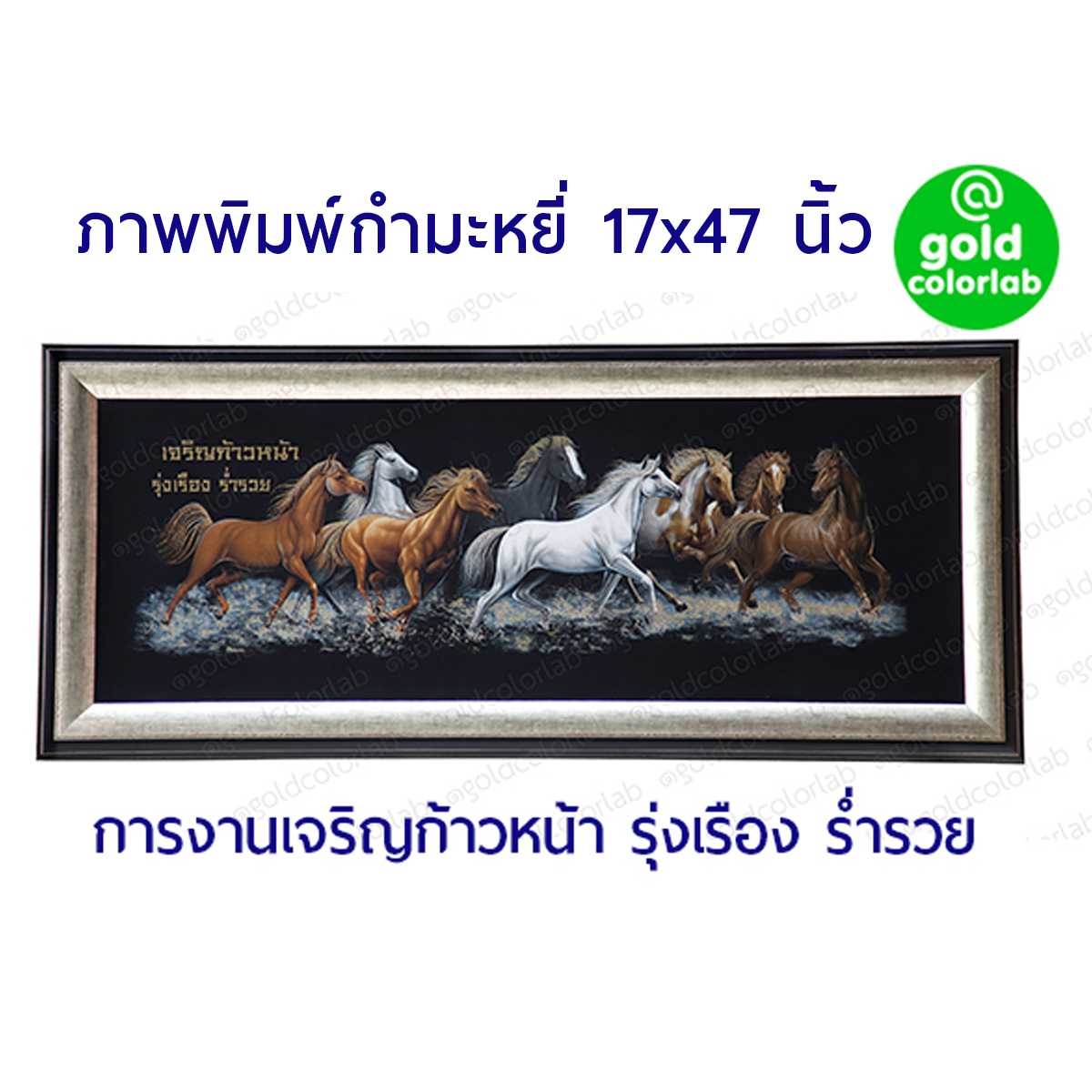กรอบรูป มงคล กำมะหยี่ ม้า8ตัว ม้ามงคล  17x47 นิ้ว กรอบสีทองไม้ 3 นิ้ว