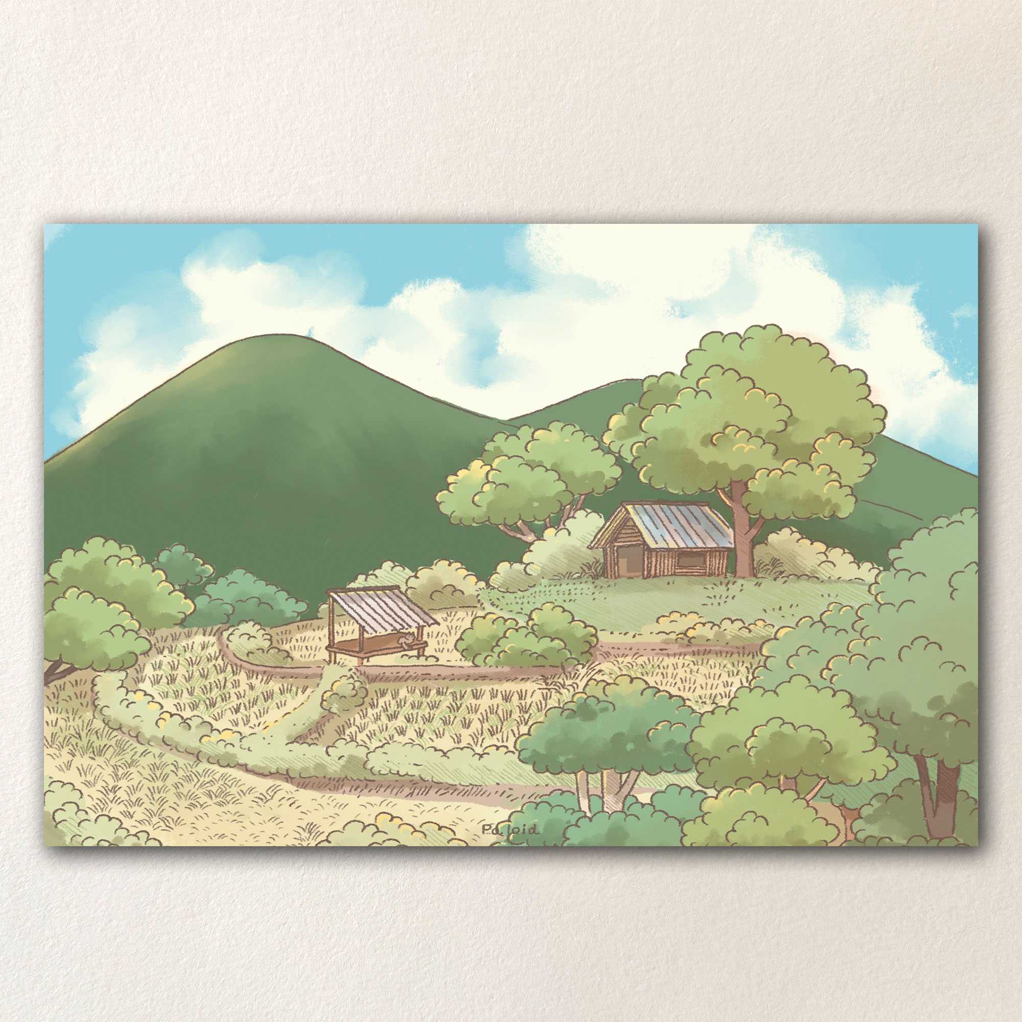 Rice terraces postcard