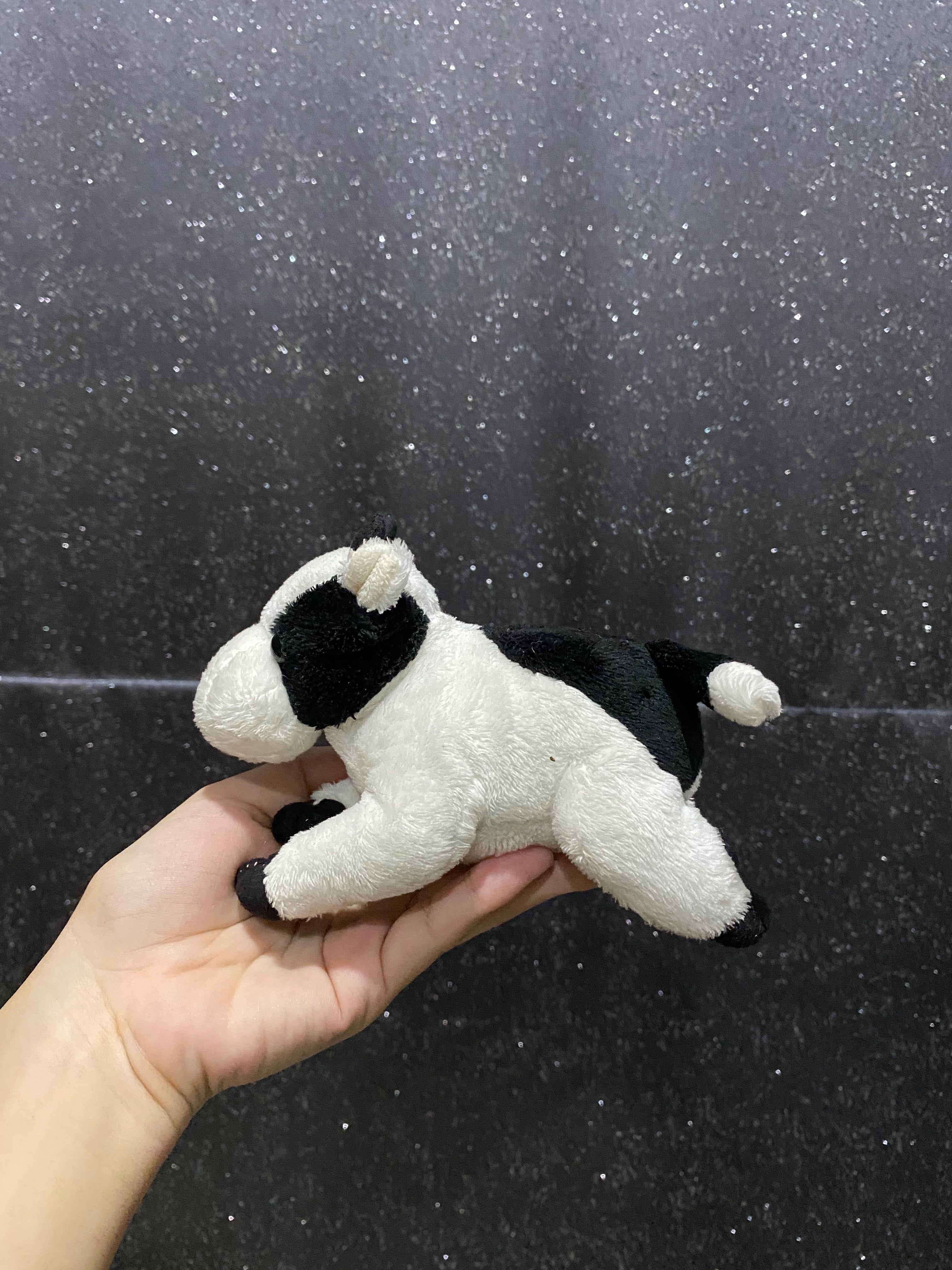 ตุ๊กตา วัวจิ๋ว🐮🍼