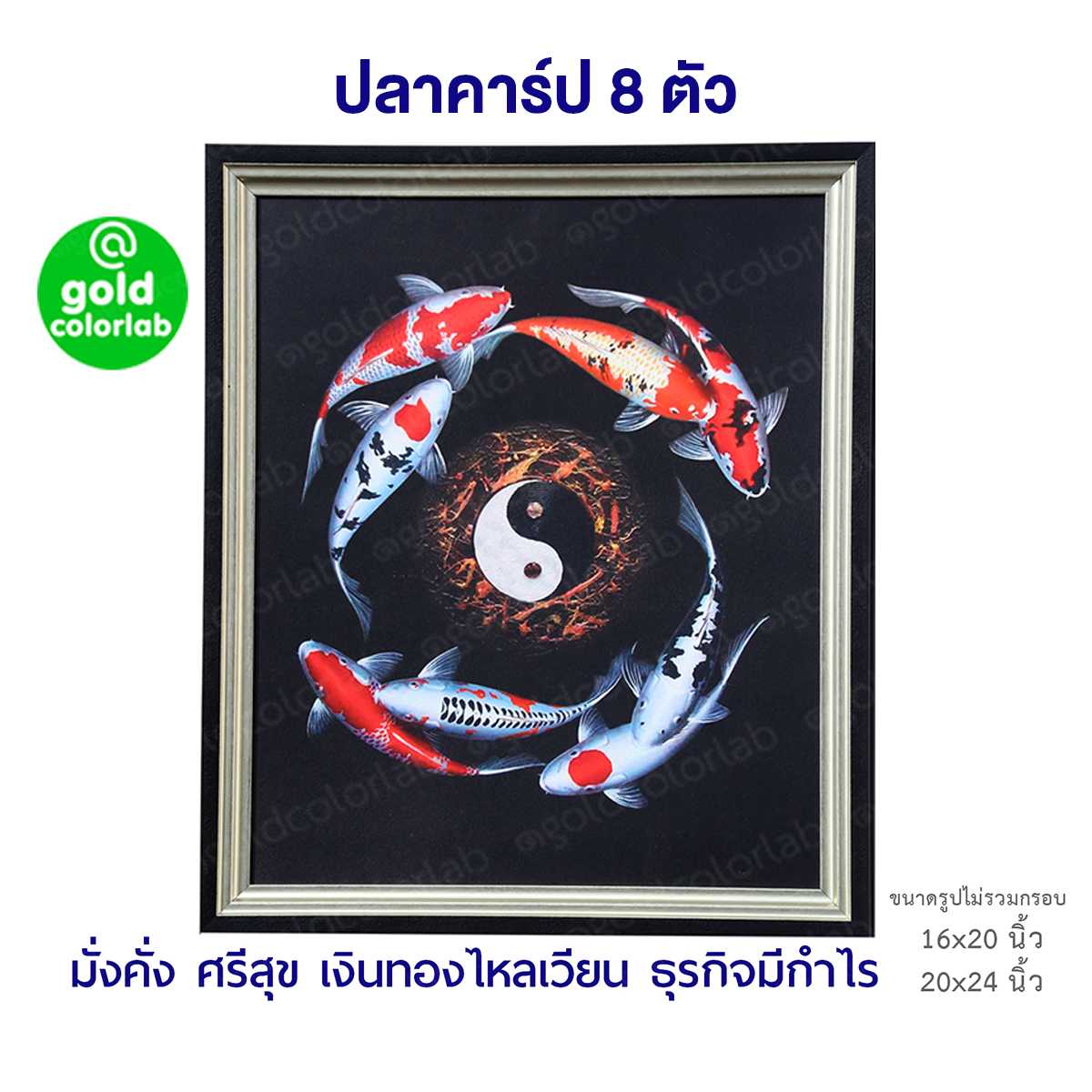 กรอบรูป มงคล ปลาคาร์ฟ 16x20 นิ้ว กรอบสีเงินด้านขลิบโอ๊ค