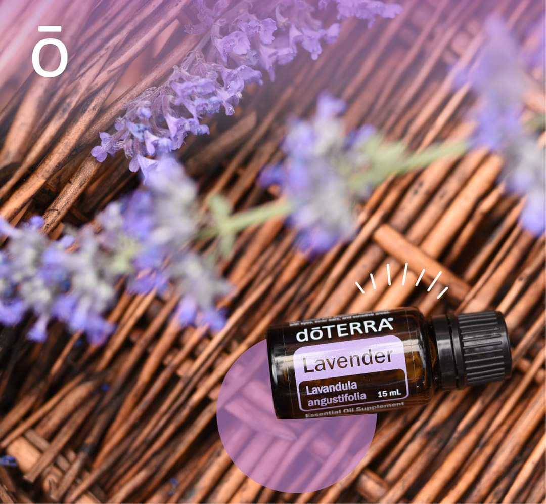 Lavender