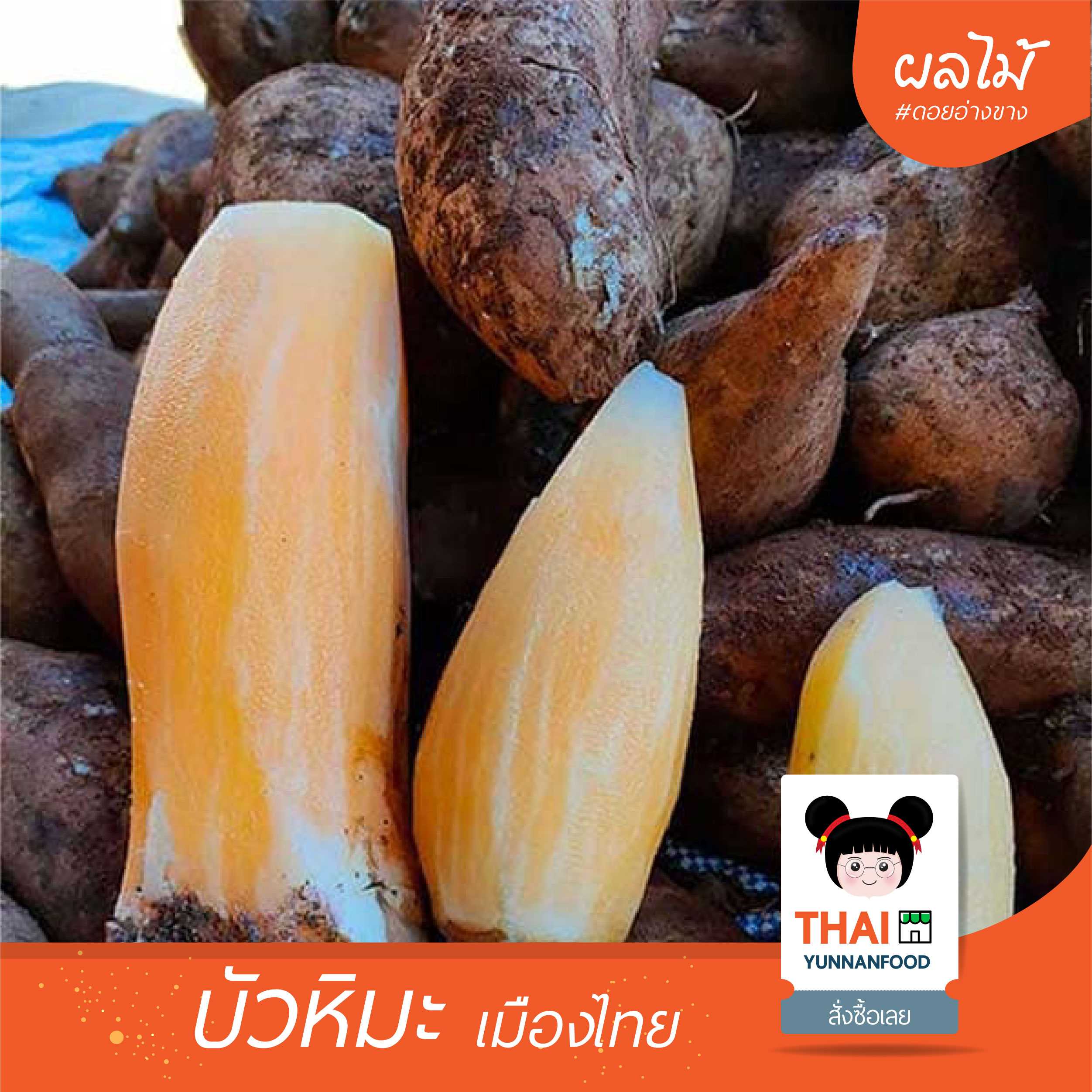 บัวหิมะเมืองไทย ดอยอ่างขาง | ผลไม้สดตามฤดูกาล   |  ไซค์ใหญ่ + กลาง 4 kg แถม ไซค์เล็ก 1 kg