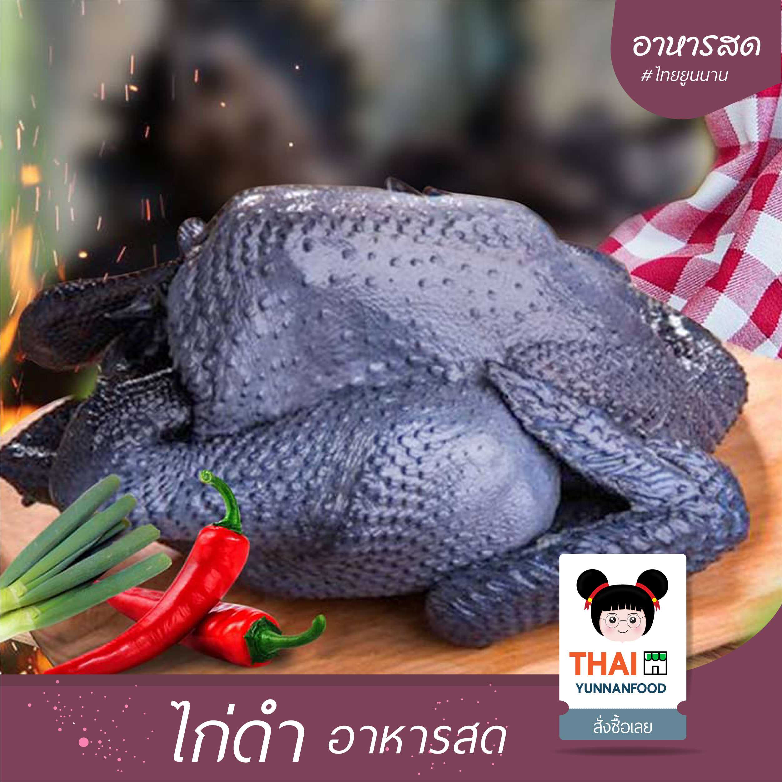ไก่ดำ  อาหารสด  黑肉鸡   | น้ำหนักหลังเชือด พร้อมส่ง ตัวละ 1.5-1.6 kg