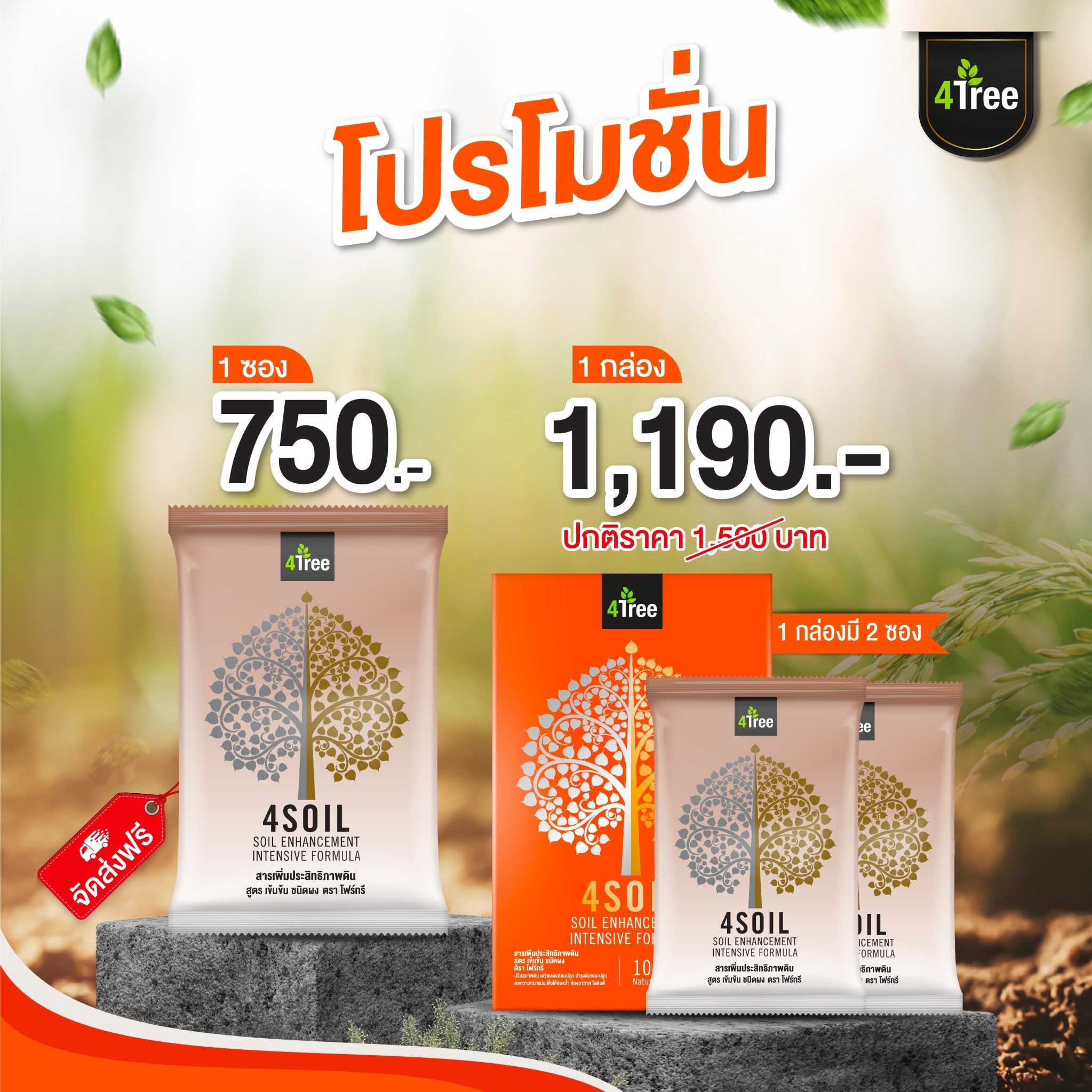4 SOIL  1  กล่อง  ( 2 ซอง )