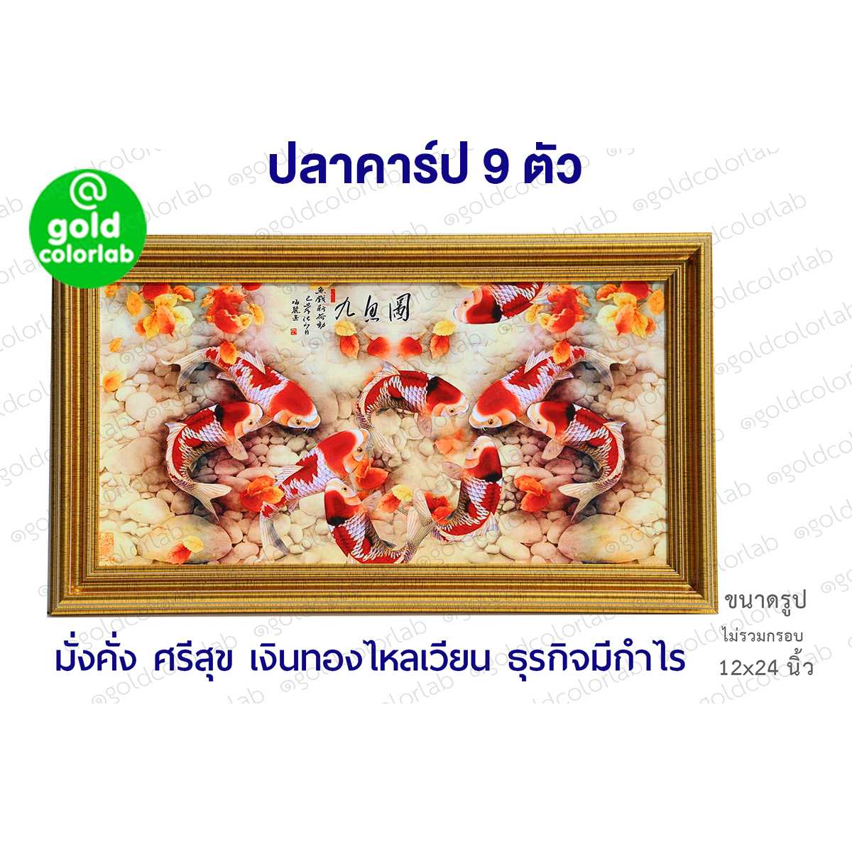 กรอบรูป มงคล ปลาคารฟ 12x24 นิ้ว กรอบทองเรียบ