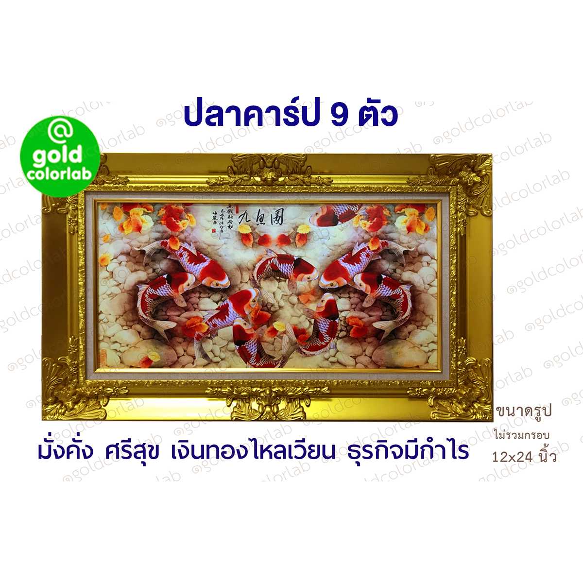 กรอบรูป มงคล ปลาคารฟ 20x24 นิ้ว กรอบหลุยส์สีทอง