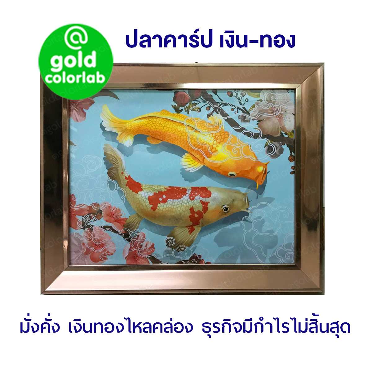 กรอบรูป มงคล ปลาคาร์ฟ 12x15 นิ้ว กรอบสี Rose Gold