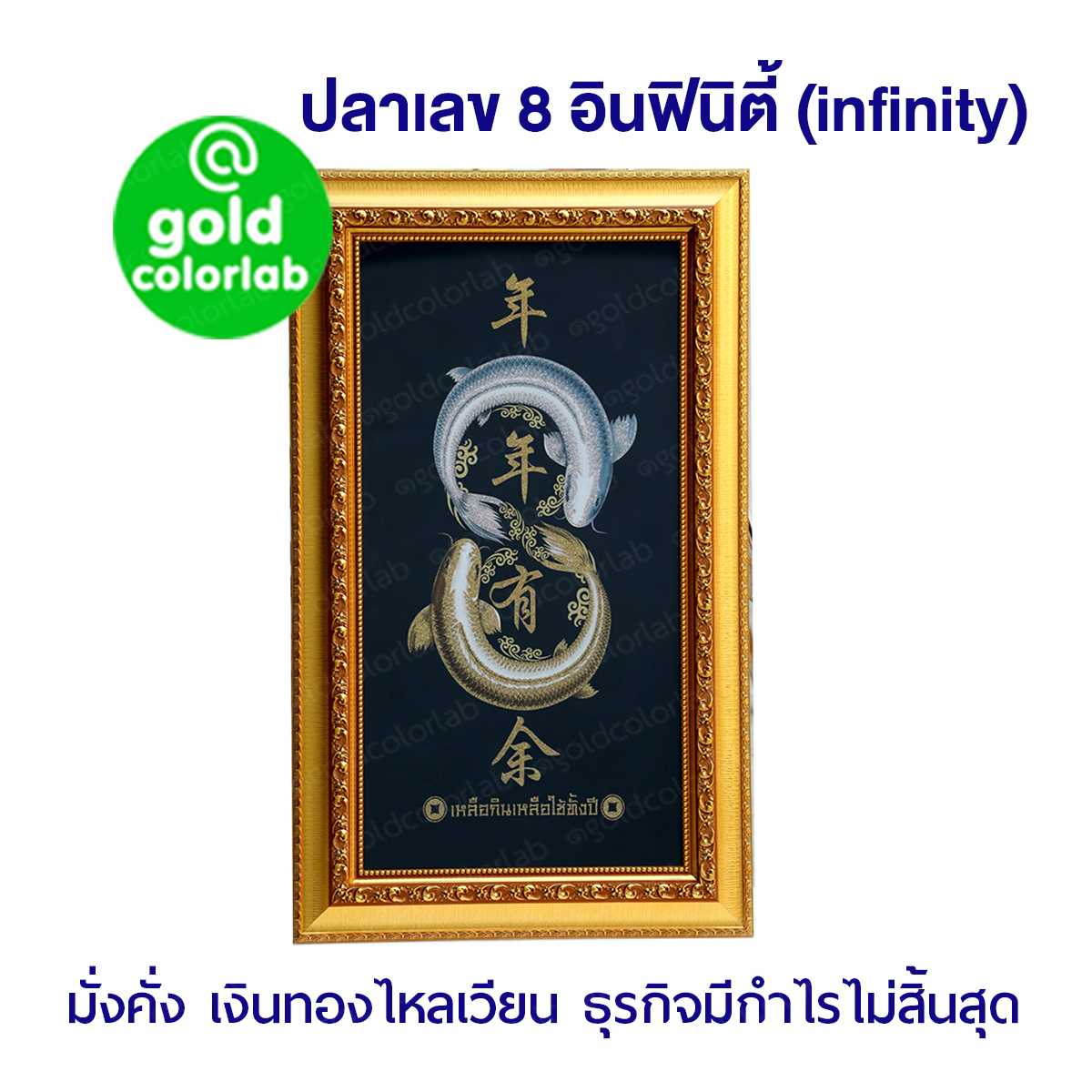 กรอบรูป มงคล ปลาเลข8 infinity 18x30 นิ้ว กรอบสีทอง หน้า 3 นิ้ว