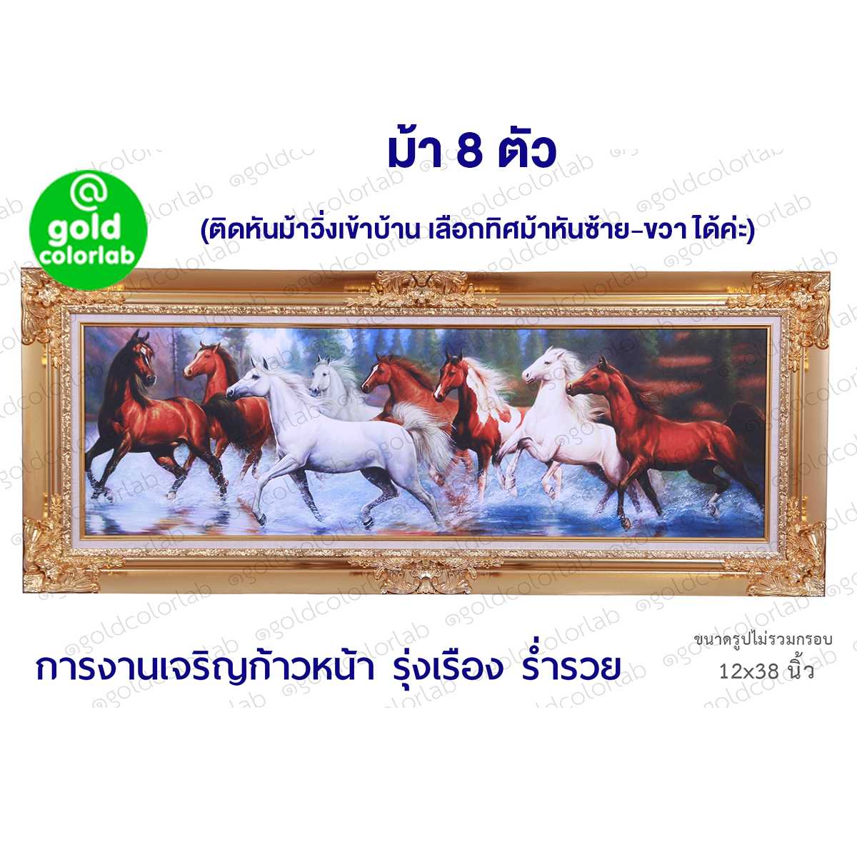 กรอบรูป มงคล ม้า8ตัว 12x38 นิ้ว กรอบหลุยส์สีทอง ม้ามงคล