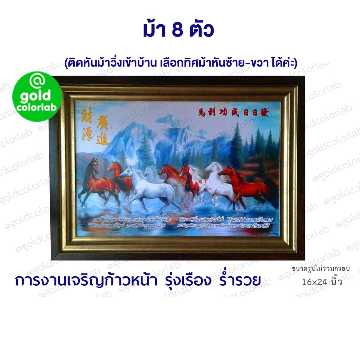 กรอบรูป มงคล ม้า8ตัว 16x24 นิ้ว กรอบหลุยส์สีทอง ม้ามงคล กรอบสีทองด้านขลิบโอ๊ค 2 นิ้ว